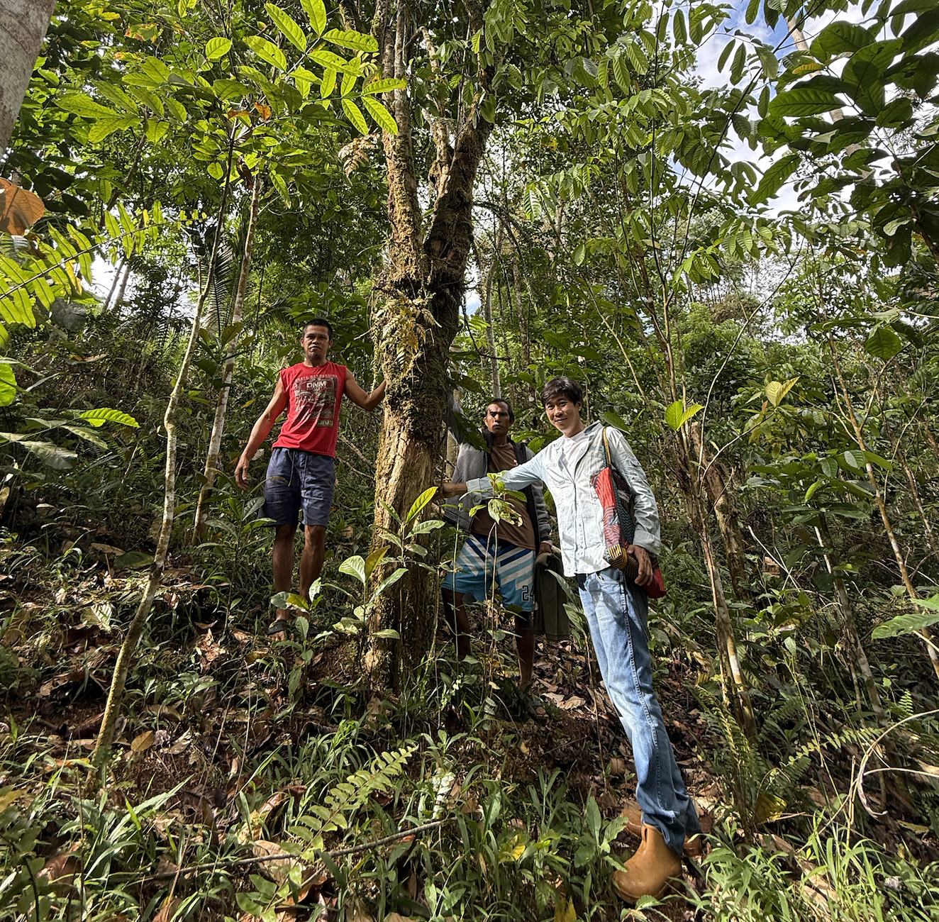 Curiosity as Expression