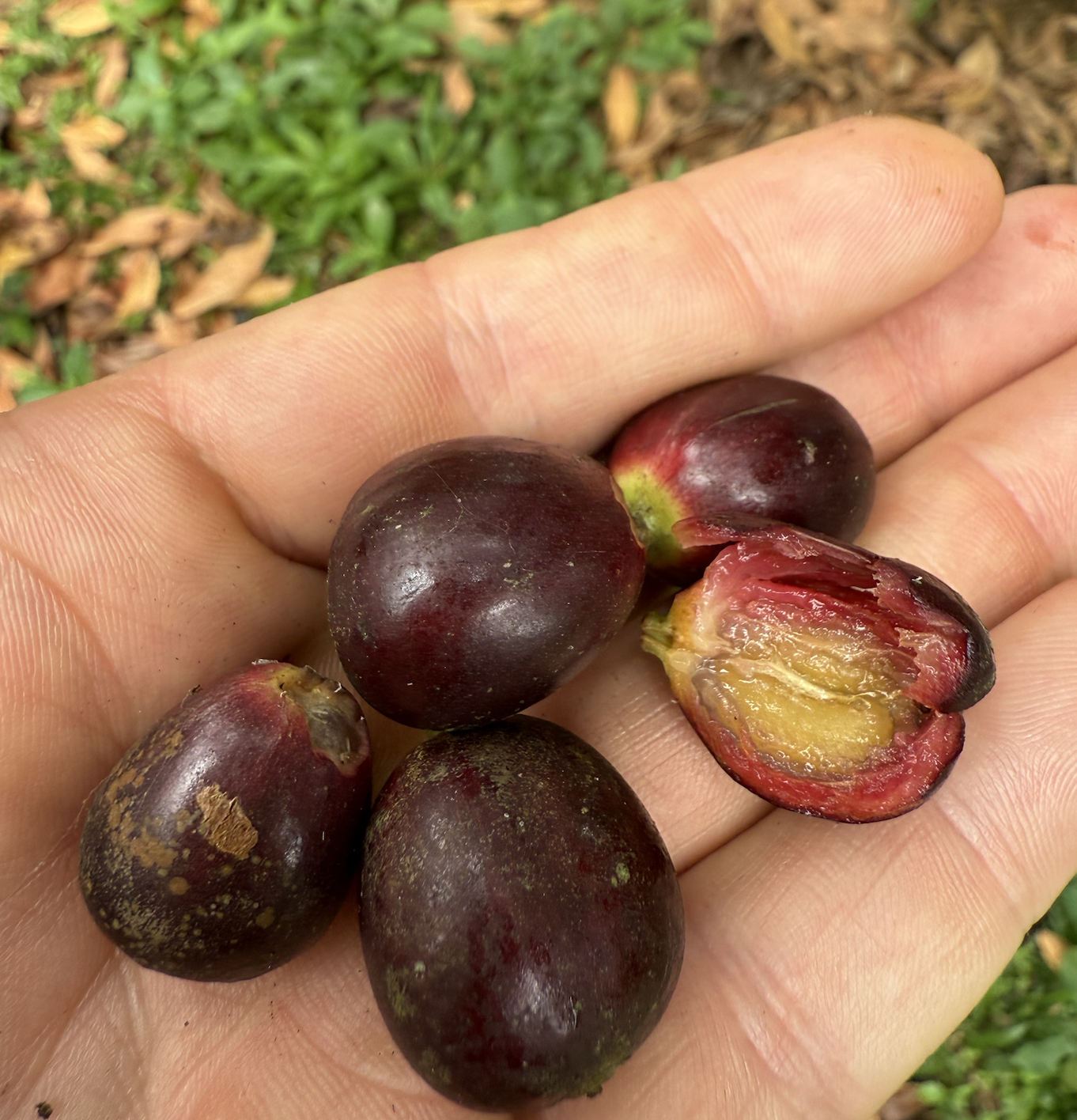 The Bridge Between What Broke and What Can Be Built